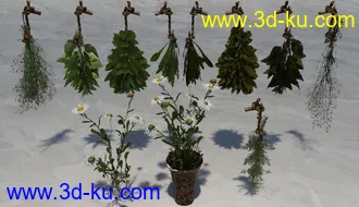 3D打印模型Cottage Props的图片