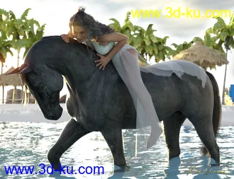 3D打印模型Countryside Horseback Riding Poses for Genesis 8 Female and DAZ Horse 2的图片