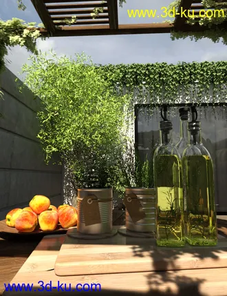 3D打印模型Courtyard Garden的图片