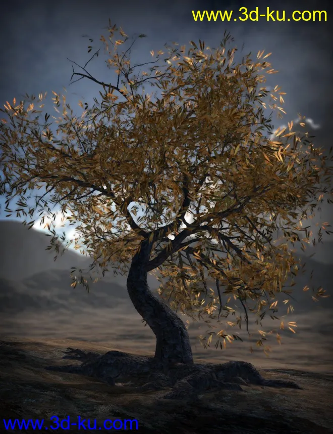 Crooked Trees模型的图片1