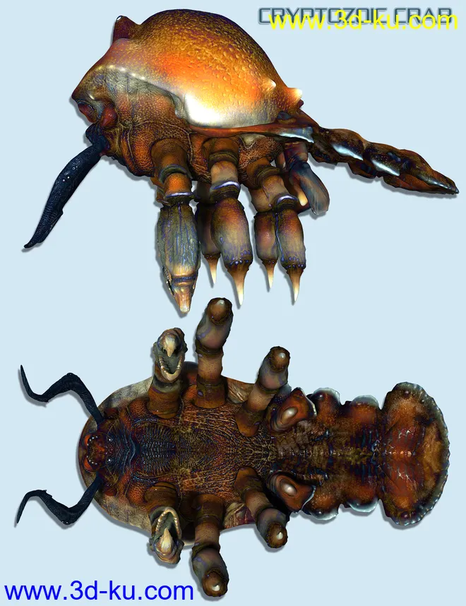 Cryptozoic Crab模型的图片2