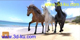3D打印模型DA dForce Mane and Tail for Horse 2的图片