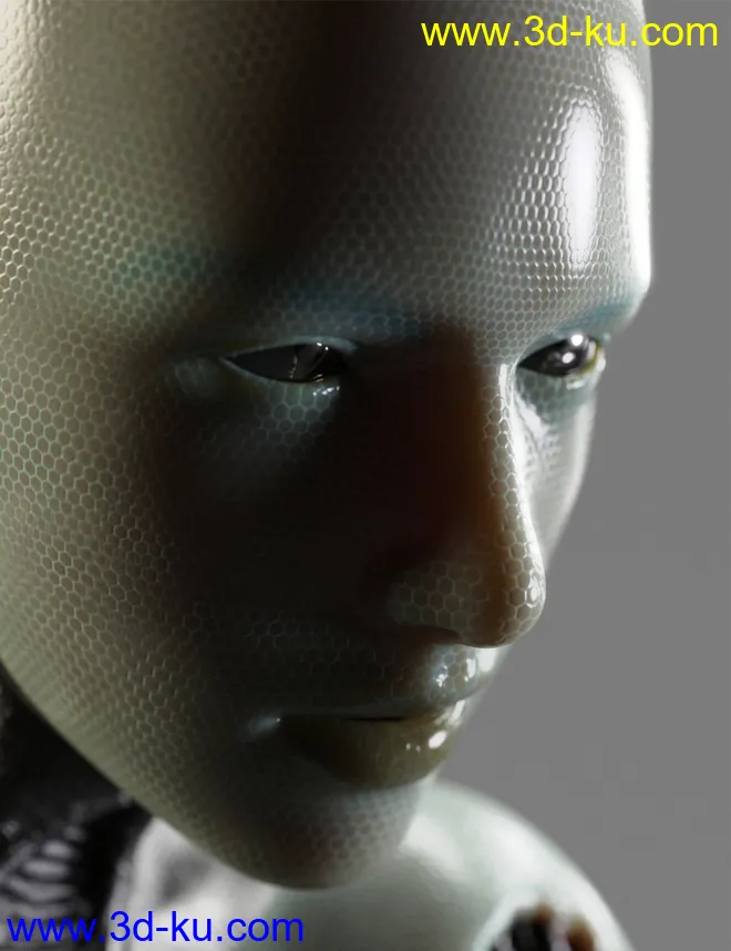 DA-15Y Lvl 4 HD Morph for Genesis 8 Female(s)模型的图片3