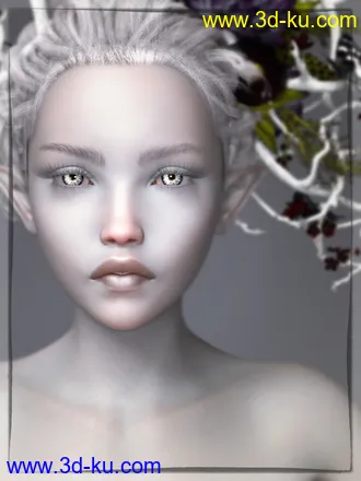 Daisy 8 Pro Bundle模型的图片32