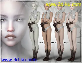 Daisy 8 Pro Bundle模型的图片40