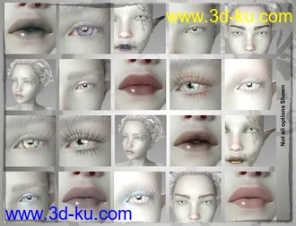 Daisy 8 Pro Bundle模型的图片41