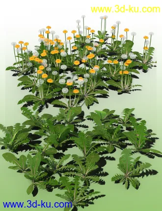 3D打印模型Dandelions - Grassland and Lawn Plants and Seeds的图片