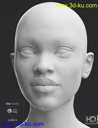 3D打印模型Darcy 8 HD Add-On的图片