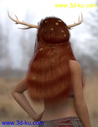 3D打印模型Deer Lady Hair for Genesis 3 and 8 Female(s)的图片