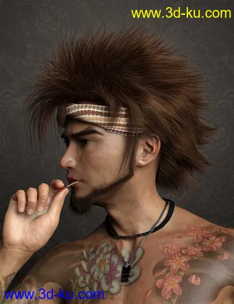 3D打印模型Denki Hair for Genesis 3 and 8的图片