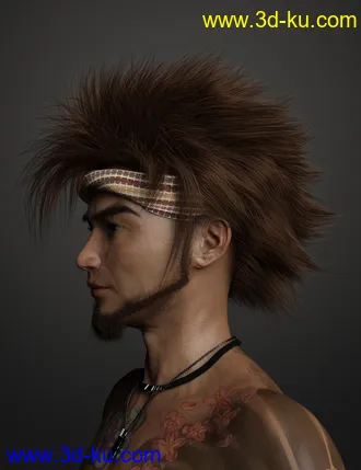 3D打印模型Denki Hair for Genesis 3 and 8的图片
