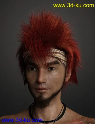 3D打印模型Denki Hair for Genesis 3 and 8的图片