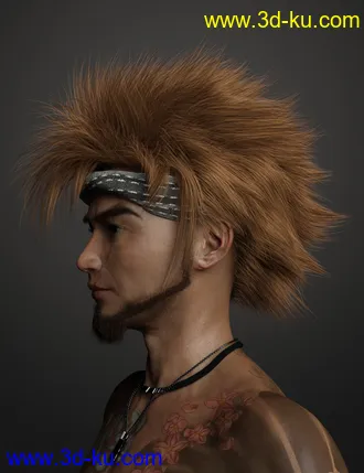 3D打印模型Denki Hair for Genesis 3 and 8的图片