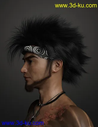3D打印模型Denki Hair for Genesis 3 and 8的图片