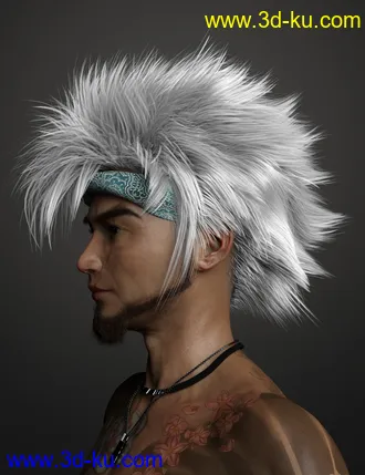 3D打印模型Denki Hair for Genesis 3 and 8的图片
