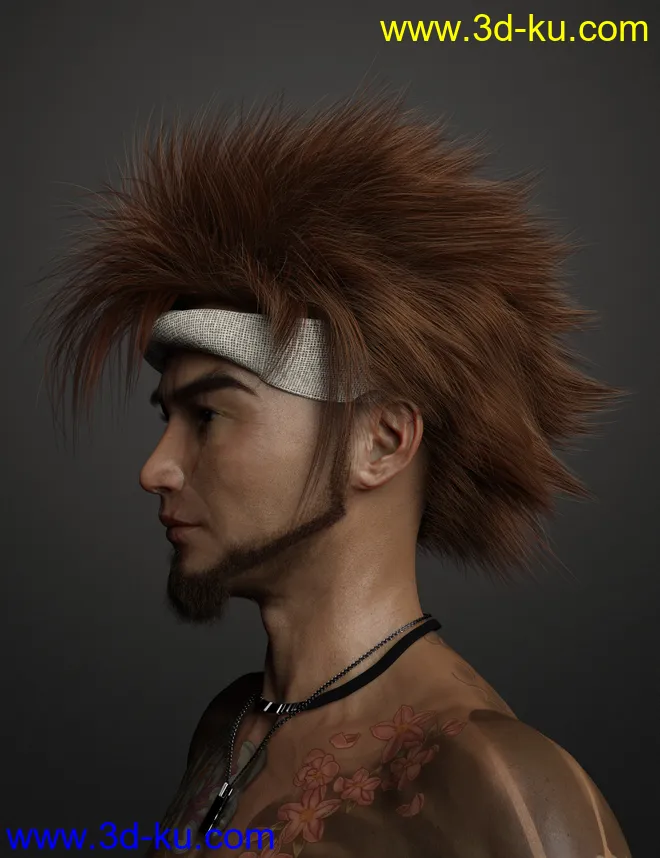 Denki Hair for Genesis 3 and 8模型的图片9