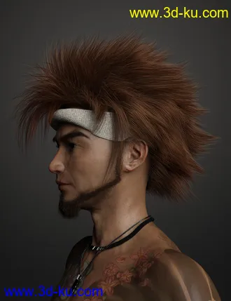 3D打印模型Denki Hair for Genesis 3 and 8的图片