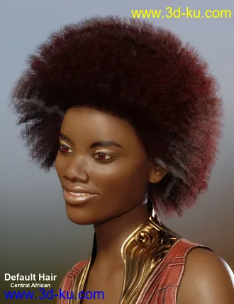 3D打印模型dForce African Hair for Genesis 8 Female的图片