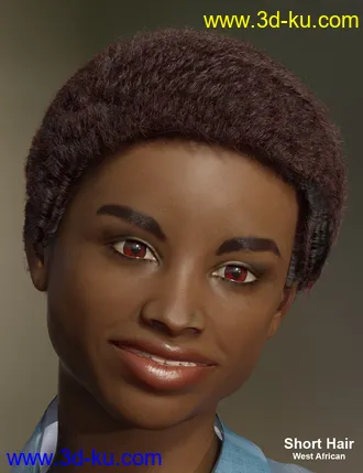 3D打印模型dForce African Hair for Genesis 8 Female的图片