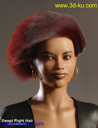 3D打印模型dForce African Hair for Genesis 8 Female的图片