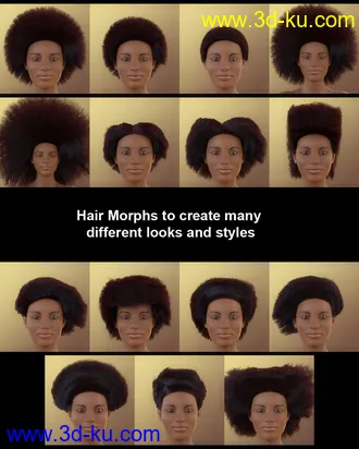 3D打印模型dForce African Hair for Genesis 8 Female的图片