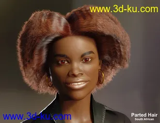 3D打印模型dForce African Hair for Genesis 8 Female的图片