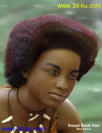 3D打印模型dForce African Hair for Genesis 8 Female的图片