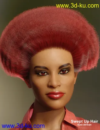 3D打印模型dForce African Hair for Genesis 8 Female的图片