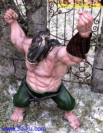 3D打印模型dForce Basic Outfit for Ogre HD and Genesis 8 Male的图片