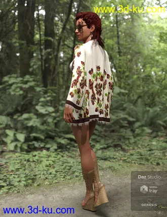 3D打印模型dforce Boho Style Outfit for Genesis 8 Female的图片