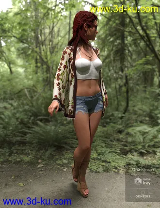 3D打印模型dforce Boho Style Outfit for Genesis 8 Female的图片