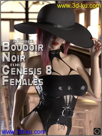 3D打印模型dForce Boudoir Noir for Genesis 8 Females的图片