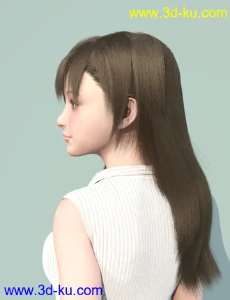 3D打印模型dForce Difa Hair for Genesis 8 Female(s)的图片