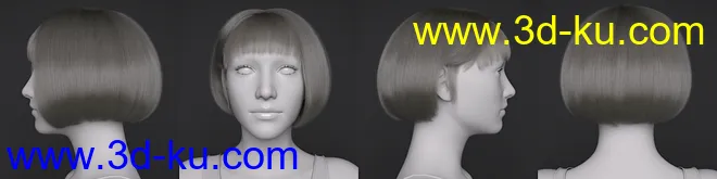 dForce Fashionable Bob for Genesis 8 Female(s)模型的图片12