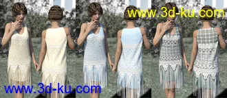 3D打印模型dForce Golden Era Textures for Vintage Style Flapper Dress 01的图片