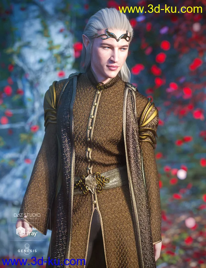 dForce High Elf for Genesis 8 Male(s)模型的图片4
