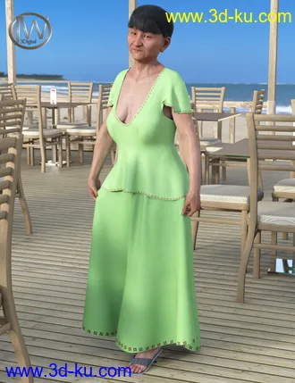3D打印模型dForce JW Clothes Pack 2 for Genesis 8 Female(s)的图片