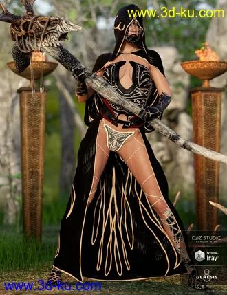 3D打印模型dforce Order of the Huntress - The Acolyte Outfit for Genesis 8 Female(s)的图片