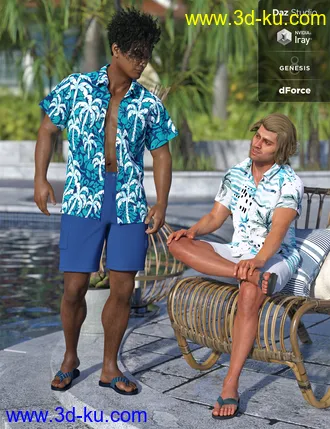 3D打印模型dForce Poolside Oahu Outfit Textures的图片