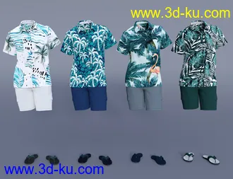 3D打印模型dForce Poolside Oahu Outfit Textures的图片