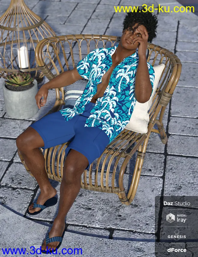 dForce Poolside Oahu Outfit Textures模型的图片5