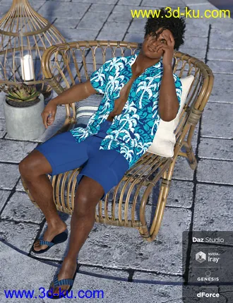 3D打印模型dForce Poolside Oahu Outfit Textures的图片