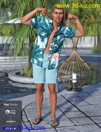3D打印模型dForce Poolside Oahu Outfit Textures的图片