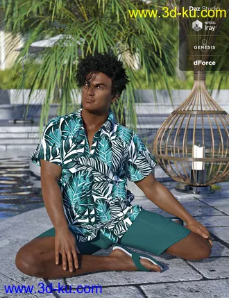 3D打印模型dForce Poolside Oahu Outfit Textures的图片