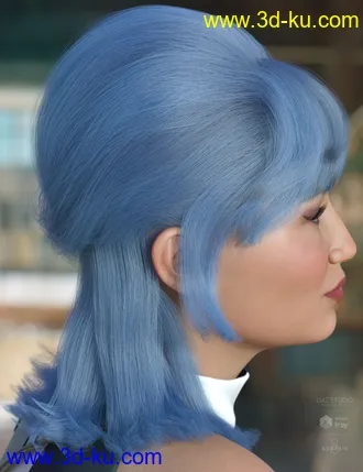 3D打印模型dForce Raquel Hair for Genesis 3 & 8 Female(s)的图片