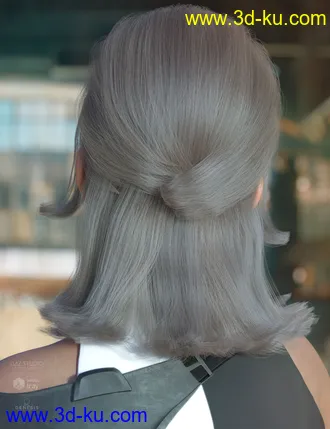 3D打印模型dForce Raquel Hair for Genesis 3 & 8 Female(s)的图片