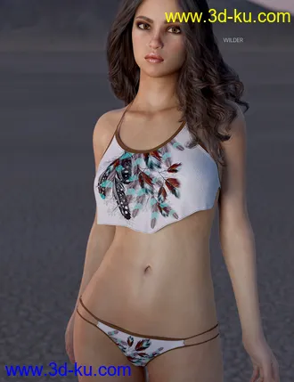 3D打印模型dForce Wilder Bikini Free Spirit Textures的图片