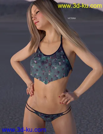 3D打印模型dForce Wilder Bikini Free Spirit Textures的图片
