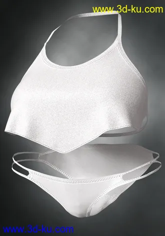3D打印模型dForce Wilder Bikini Free Spirit Textures的图片