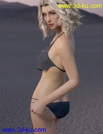 3D打印模型dForce Wilder Bikini Outfit for Genesis 8 Female的图片